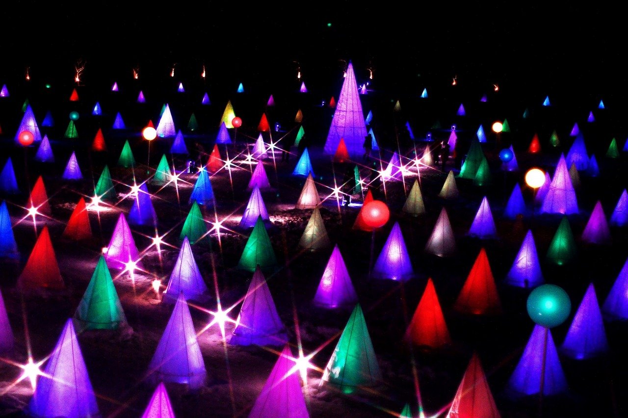 🏞️ 도카치가오카 공원(토카치가오카 코엔) 이미지 4